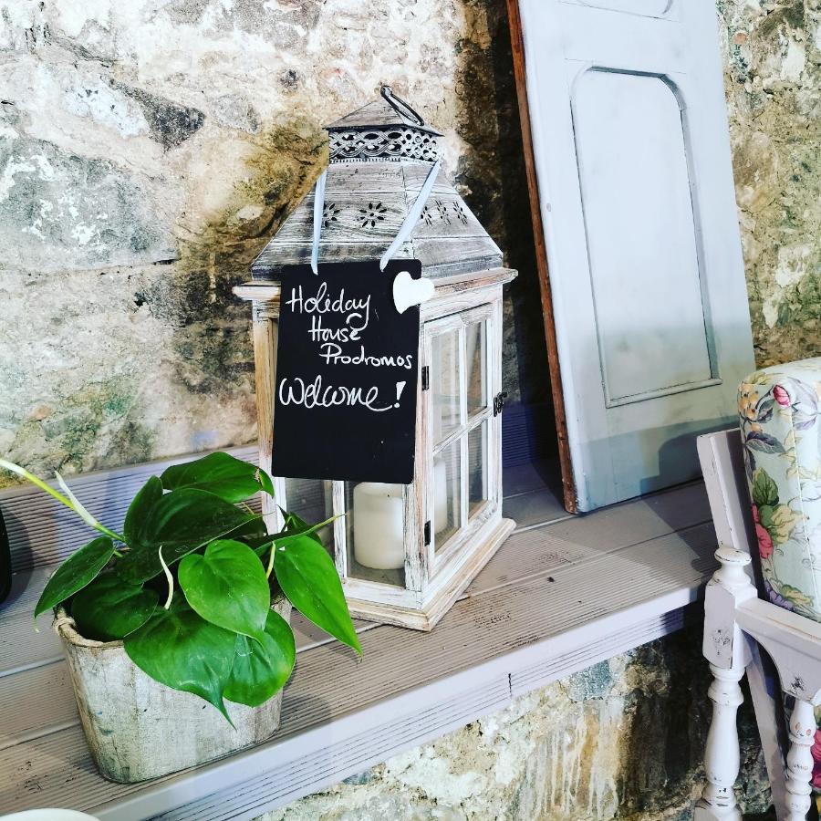 Holiday House Prodromos Bagian luar foto