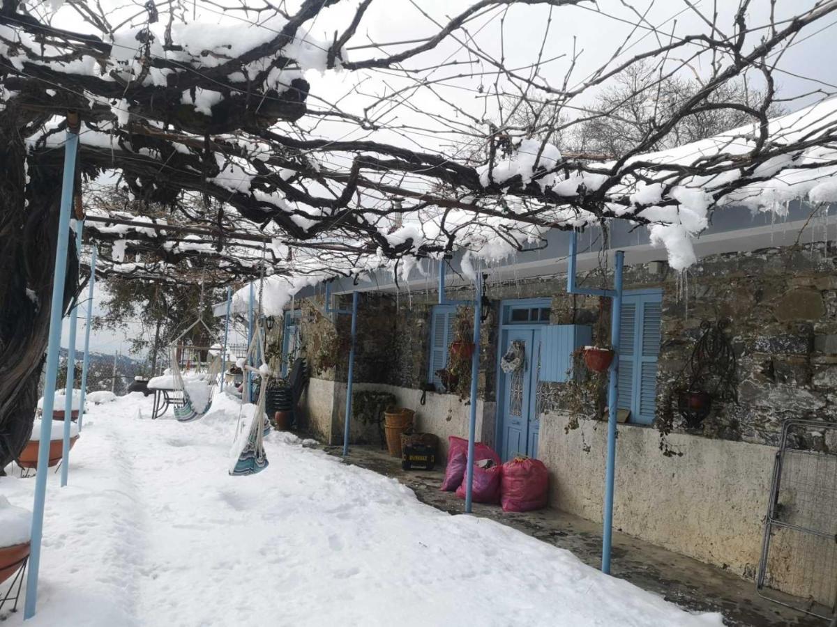 Holiday House Prodromos Bagian luar foto