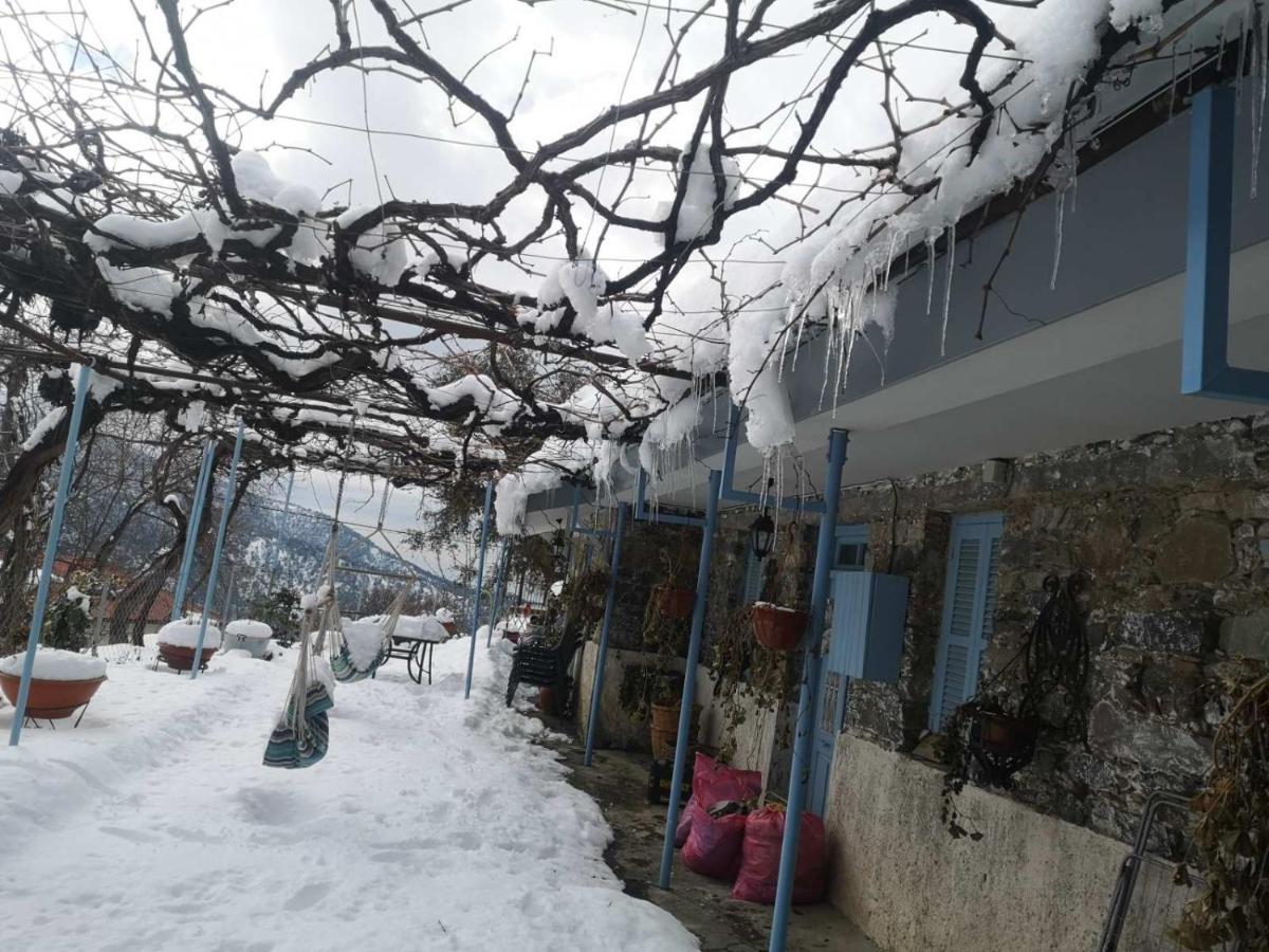 Holiday House Prodromos Bagian luar foto